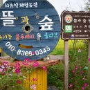뜰과숲농원