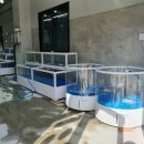 무지개해양수족관 이미지