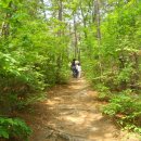 성포초등학교 이미지