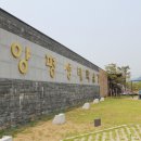 양평곤충박물관 이미지