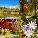 인동쉼터 | 산책 - 항동 푸른수목원 가을꽃구경