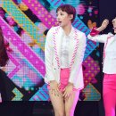 소나무다이어트