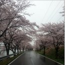 설천 이미지
