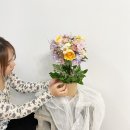 라이크어플라워 이미지