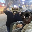 현신1길 이미지