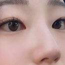 해봄 이미지