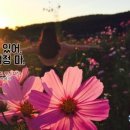 당신의 감성일기 이미지