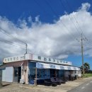 동쪽하늘펜션앤게스트하우스 | [제주 동쪽 여행] 아르츠 스파 앤 풀빌라, 반려견과 함께한 힐링 모먼트 (feat. 바베큐 &amp; 목화휴게소)