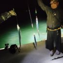 남해평산 이미지