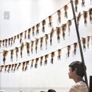 청년과 바다