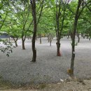 이동계곡 캠핑장 | 깨끗하고 조용한 가평계곡캠핑장, 중바위캠핑장 후기