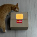 (주)토다 | 고양이 슬로우식기 추천 <유일앤펫 참참볼> 실제 사료토 줄어든 후기