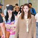 모모투어 이미지