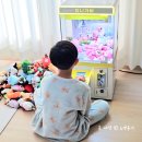 열쇠뽑기 | 가격은 얼마? 가정용 인형뽑기 기계 구매 내돈내산 후기