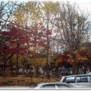 부엌명태코다리 이미지