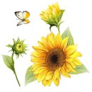 슬로우드로잉미술교습소