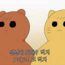 밸런스요가앤필라테스