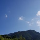 1등 석사경희대태권도장 이미지