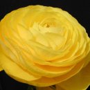 마음의안경 이미지