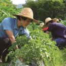 기대리선애빌 이미지