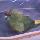 케나인동물병원 이미지