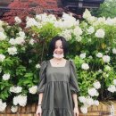 고은아 카카오 검색결과