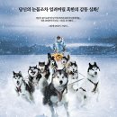 에이트 빌로우 (Eight Below) 이미지