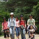 경북10대트레킹코스(2) 문경, 맨발로 걸어보자 이미지