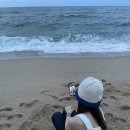 STAY 노을담 네이버블로그