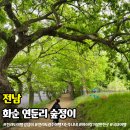 연둔리 숲정이 주차장 공중화장실 | 화순 연둔리 숲정이 마을 아이랑 가볼만한곳 자연 명소