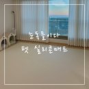 눈독들이다 실리콘매트 일반 애견매트와 비교 (매트유목민 정착후기)