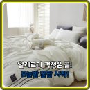 이브자리주 - 세종특별자치시 절재로 154 | 밤새 뒤척임 끝! 이브자리 극세사 알러지케어 이불, 꿀잠 비결 총정리