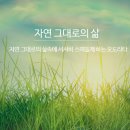 스위트힐 스킨&스파