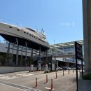 아르떼뮤지엄부산 | 부산 아르떼뮤지엄 솔직후기｜아이랑 갔다가 2시간 순삭… 달토끼 전시 미쳤다!