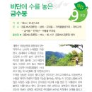 대전둘레산길(9구간) 이미지