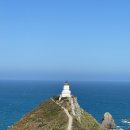 KaKa카카PC cafe | 뉴질랜드 남섬 동해 바다 여행 : 고어, 캐틀린스, 카카포인트, 너겟포인트