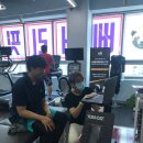 베어리핏 이미지