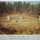 안산김씨 사재감정공파묘역 이미지