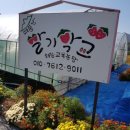 대둔산딸기학교