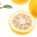 레몬필라테스 이미지