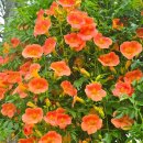 충북도립대학교 이미지