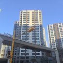 씰-크랙 네이버블로그