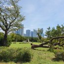 하늘뿌리한의원 이미지