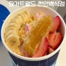 요거트월드천안 | 천안 백석동카페 요거트아이스크림 전문점 요거트월드 천안백석점 솔직후기 (맛, 가격, 분위기, 위치)