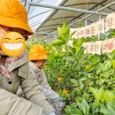 대운2농장 이미지