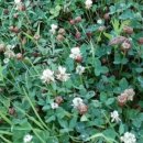 문선명농장 이미지