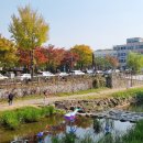 수원천로 이미지