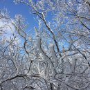 만안구청-8 이미지