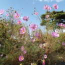 우장초등학교 이미지