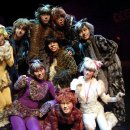 가족뮤지컬 어린이캣츠 이미지